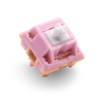 Salmon Tactile Switch