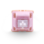 Salmon Tactile Switch