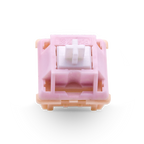 Salmon Tactile Switch