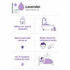 Plant Therapy Lavender Pure Essential Oil KidSafe Calming & Relaxing 1/3 FL OZ (10 mL)