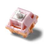 Salmon Tactile Switch