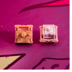 Salmon Tactile Switch