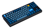 Whale PBT Keycaps V4